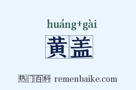 黄盖是什么意思的图片